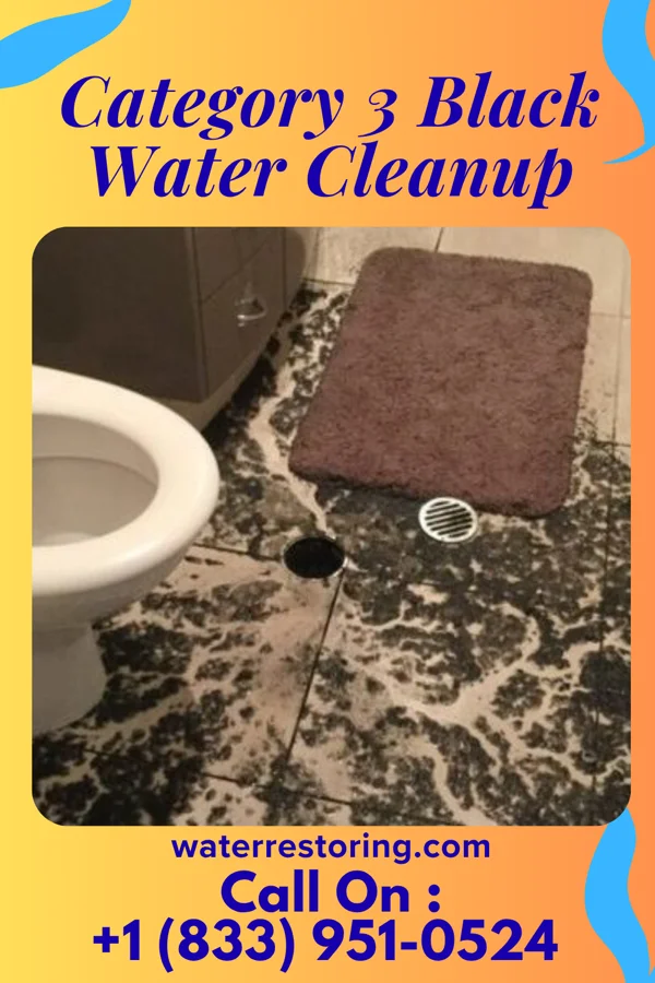 Category 3 Black Water Cleanup in Milbank, SD