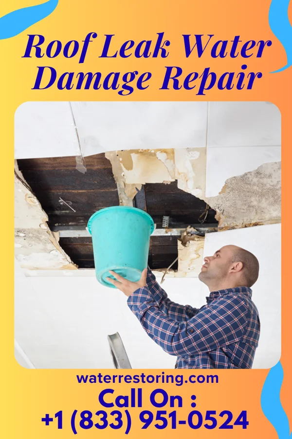 Roof Leak Water Damage Repair in Milbank, SD