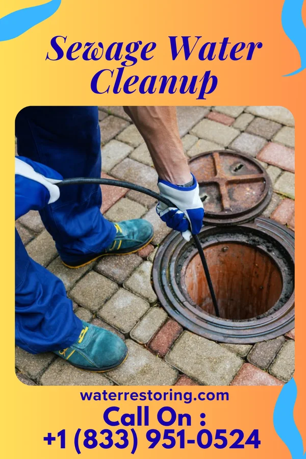 Sewage Water Cleanup in Milbank, SD